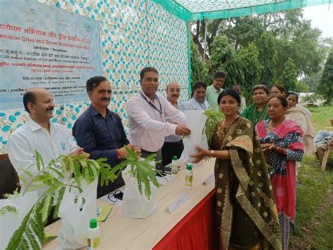 city of plantation water|Plantation programme organised at ICAR .